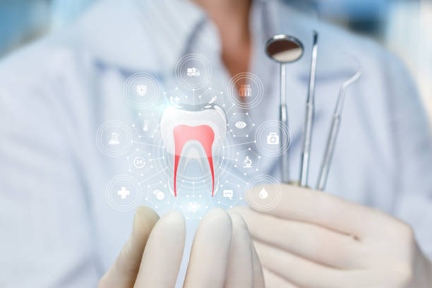 Professional Holistic Dental Care Services in East Prairie, MO